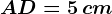 AD= 5\, cm