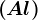 \left ( Al \right )