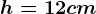 h=12 cm
