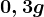 0,3g