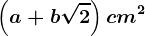 \left ( a+b\sqrt2 \right )cm^2
