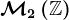 \mathcalM2\left ( \mathbbZ \right )