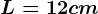 L = 12 cm
