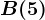 B(5)