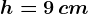 h = 9 \, cm