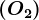 \left (O2 \right )