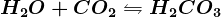 H2O + CO2\leftrightharpoons H2CO3