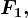 F1,
