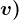 v)