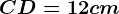 CD = 12 cm