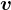 \fncm v