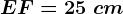 EF=25\ cm