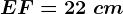 EF=22\ cm