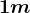 1m