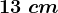 13\ cm