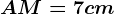 AM=7cm