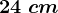 24\ cm