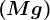 \left ( Mg \right )