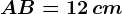 AB = 12\, cm