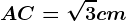 AC = \sqrt3cm