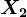 X2