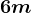 6m