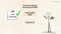 Subiectul II-2025-Tehnologic-Partea I